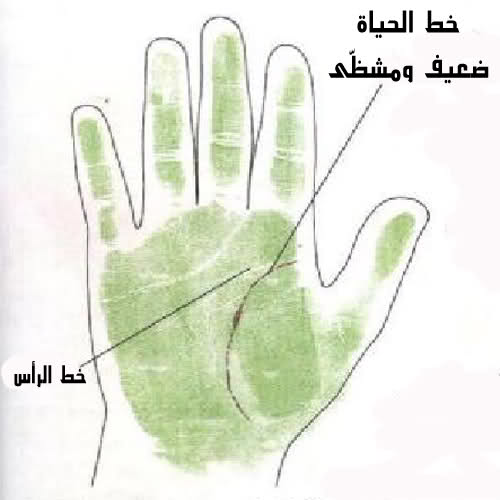 148.jpg