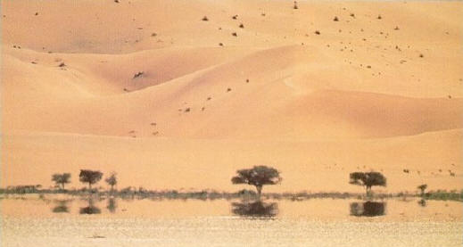 1974.jpg