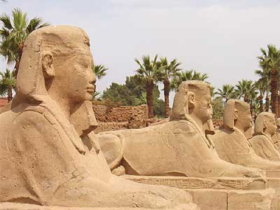 4944.jpg