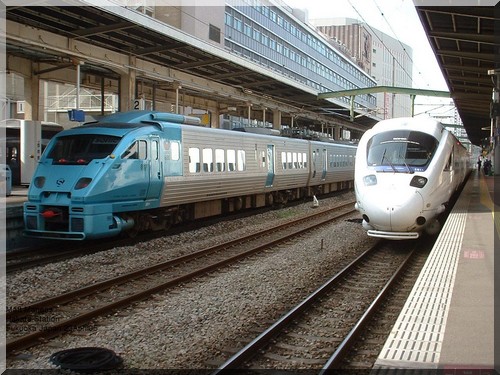 560.jpg