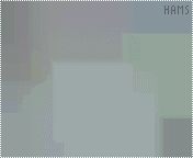 655.gif