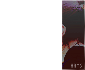 668.gif