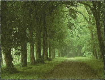 142.gif