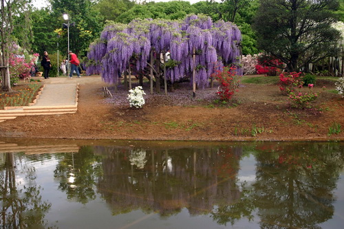 380.jpg