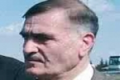 3540.jpg