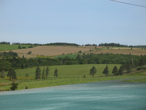 1690.jpg