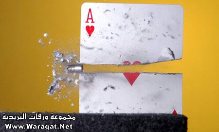 2757.jpg