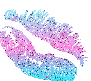 302.gif