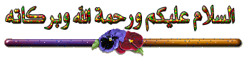 201.gif
