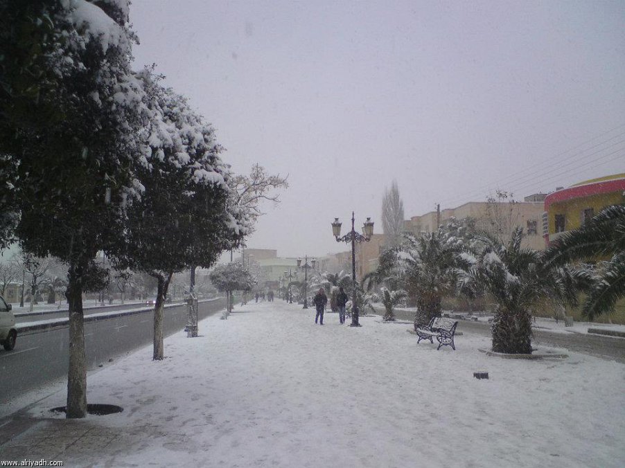 654.jpg