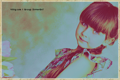 902.gif