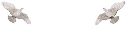 156.gif