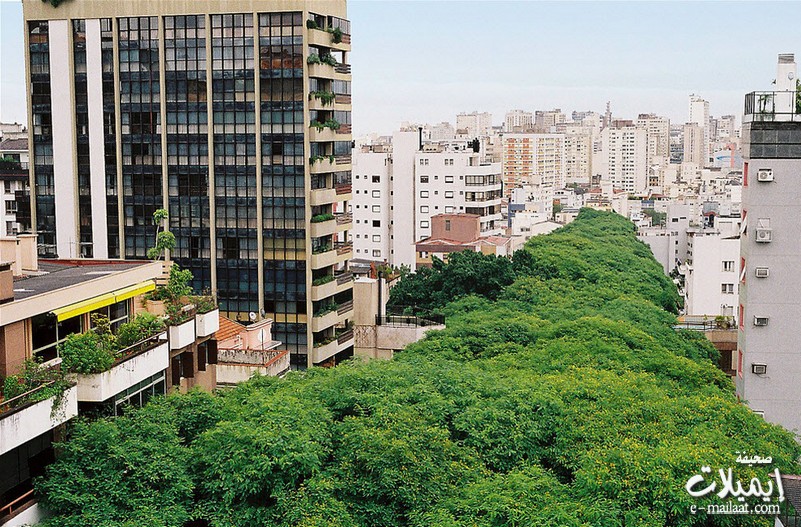 685.jpg