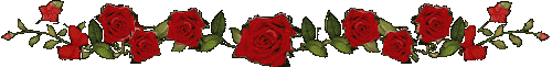 21.gif