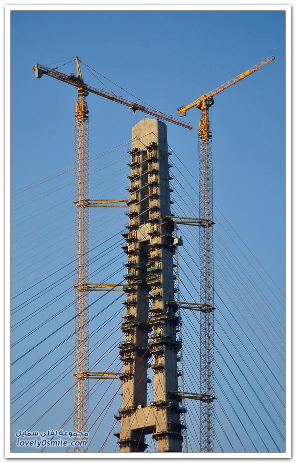 463.jpg