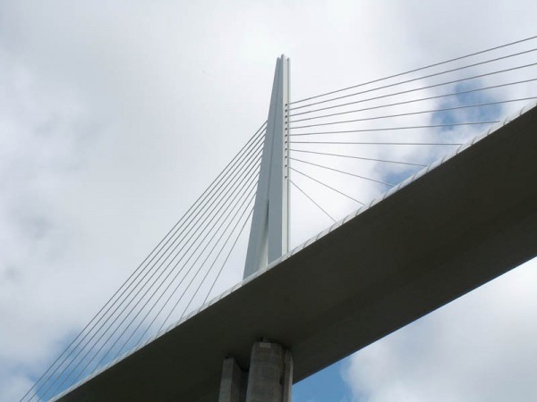 783.jpg