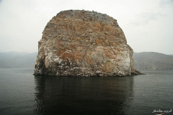 1159.jpg