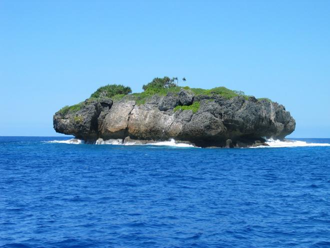 1197.jpg
