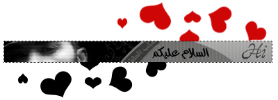 223.gif