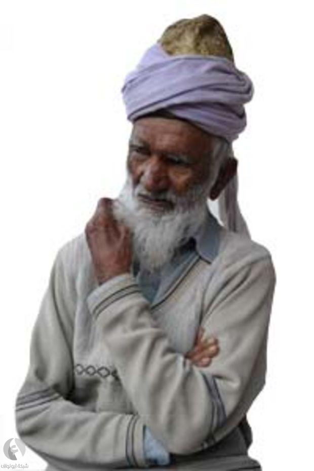 550.jpg