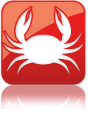 4.png