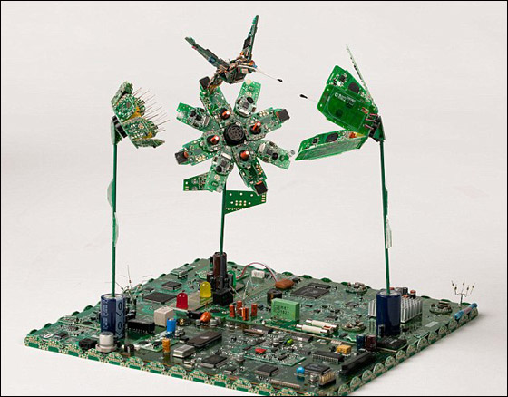 1343.jpg