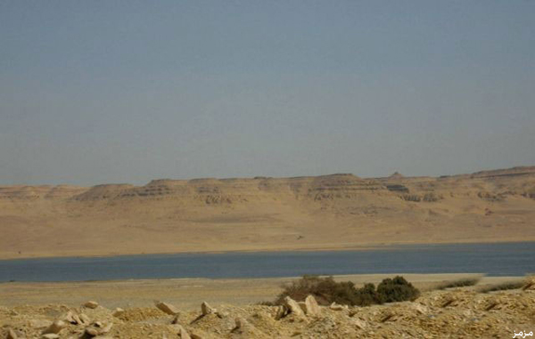 154.jpg