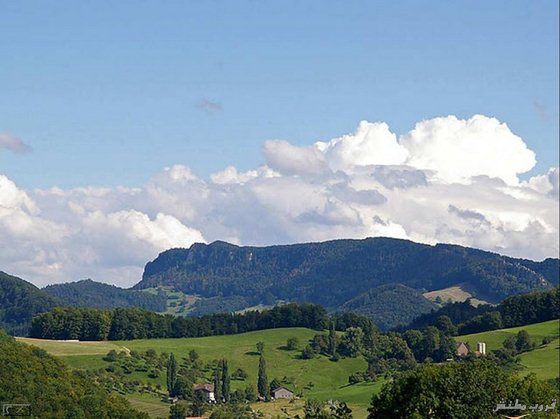 538.jpg