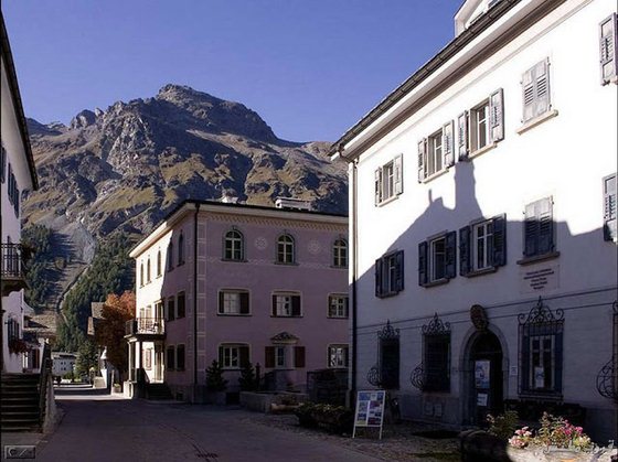 549.jpg
