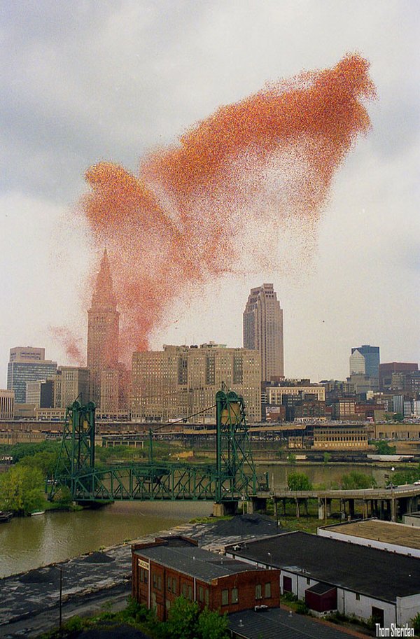 105.jpg