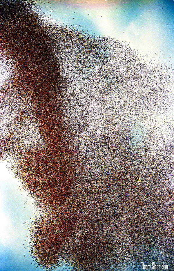 106.jpg